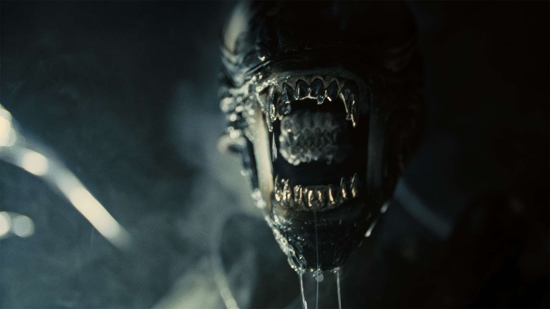 Todo sobre Alien: Romulus, disponible para ver en español latino en My Family Cinema